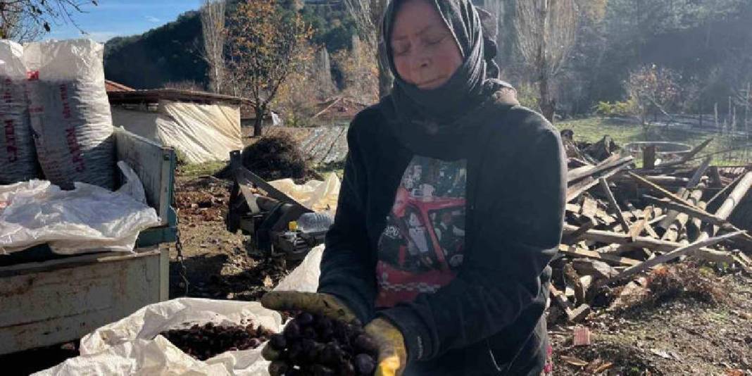1 ay dinlendi dikenlerinden arındırıldı! Sofra yolculuğu başladı: Alıcılar akın ediyor, ‘Herkes tadına bakmalı’ deniyor 5